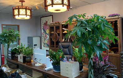 Zl(wi)l(f) ZQ(mo)׺(jin)